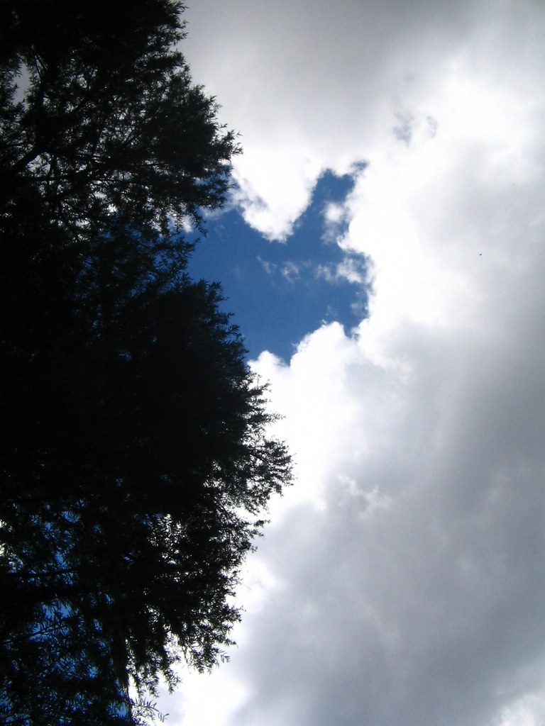 Cielo un pedazo de cielo Liliana Marmolejo Flickr