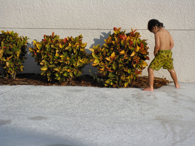 mhk2’s favorites | Flickr