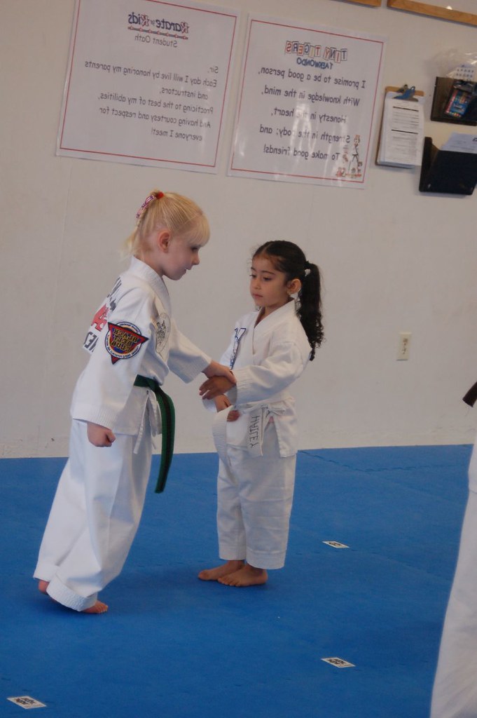 2007 0331 Testing 054 ATA Martial Arts Flickr