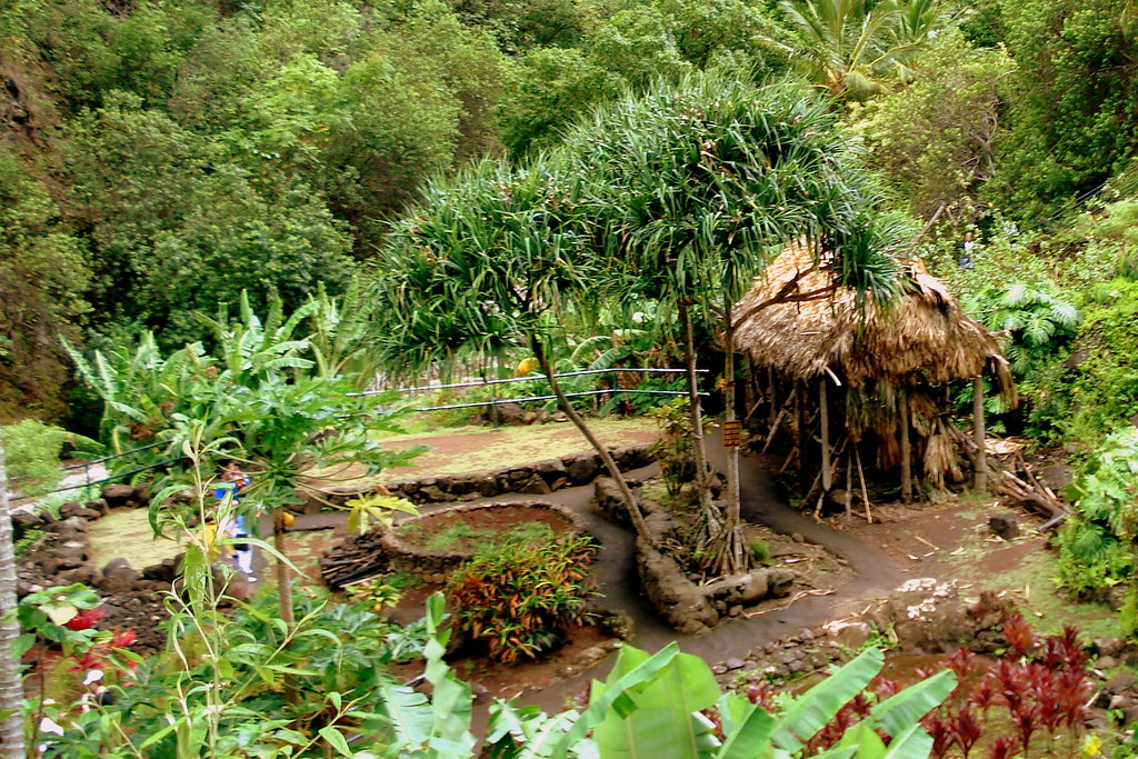 Traditional Hawaiian Garden The 'Iao Valley State Park fea… Flickr