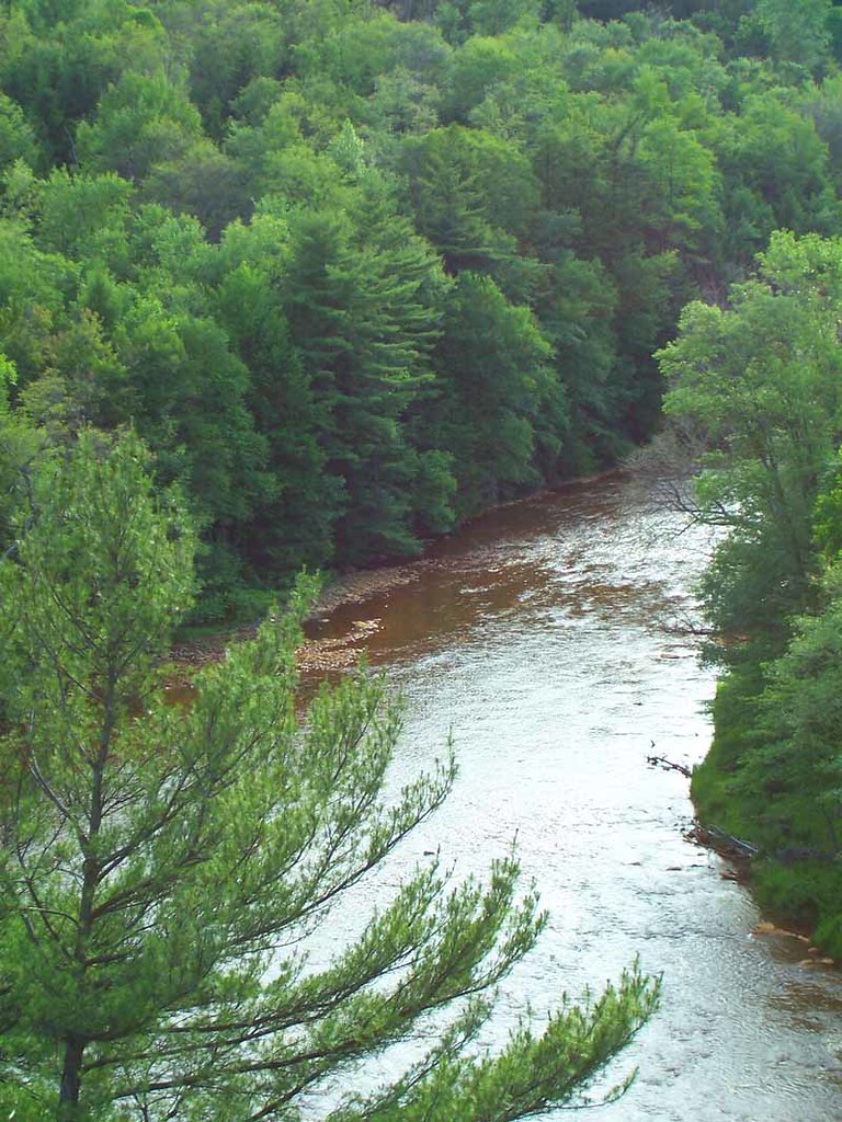 Red Moshannon Creek Taken at Snow Shoe, PA Jenn Dixon Flickr