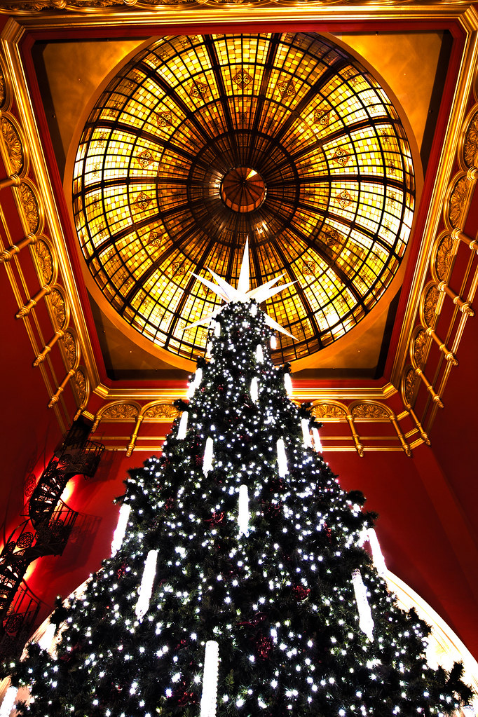 Queen Victoria Building Christmas Tree 2010 Taken in Octob… Flickr