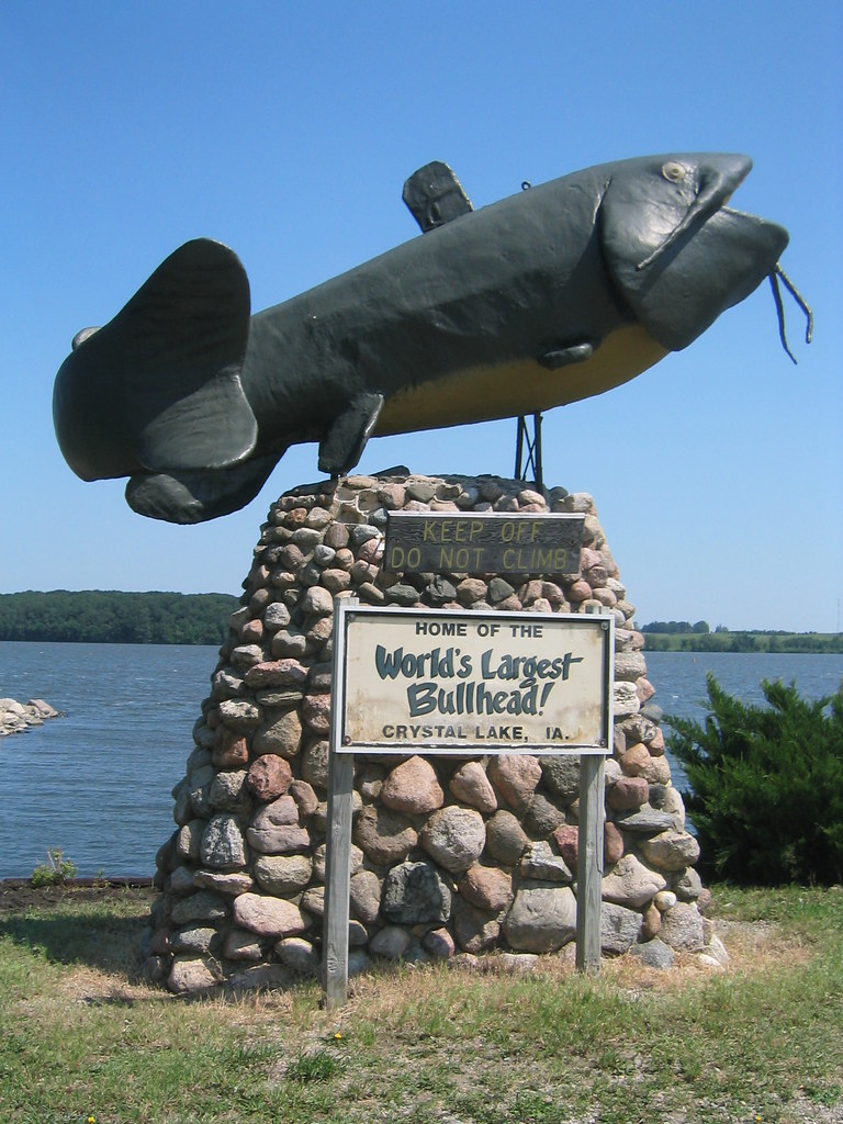 World's Largest Bullhead Fish Crystal Lake, Iowa Roadchix Flickr