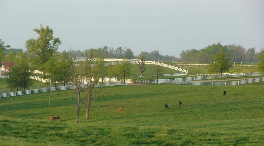 Calumet Farm Worldfamous Calumet Farm is known as the hom… Flickr