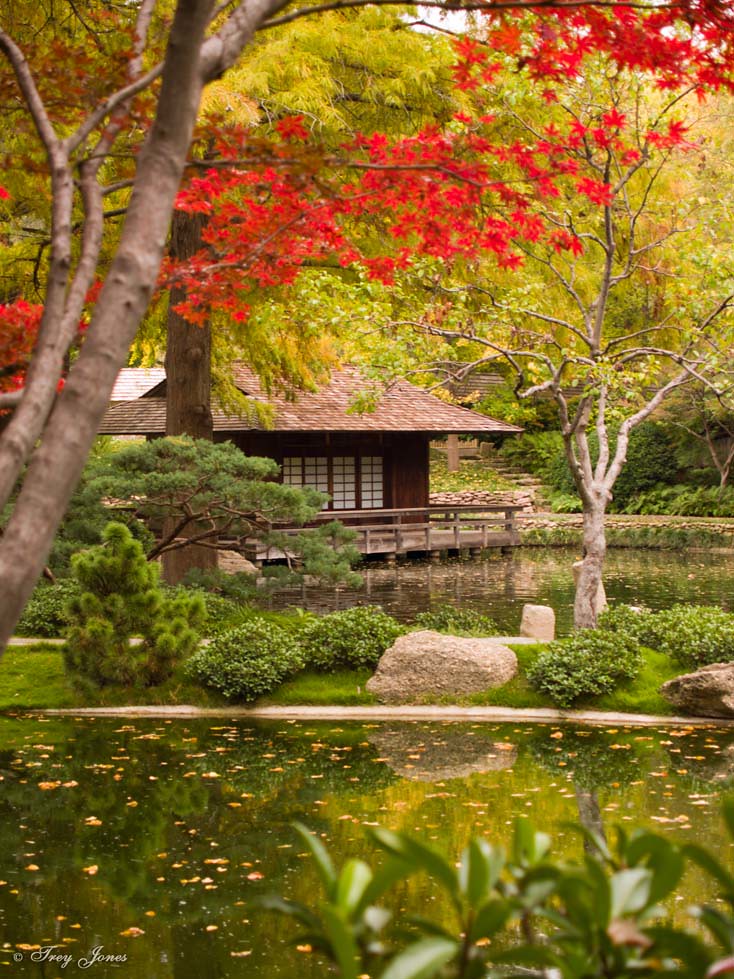 Japanese Tea House in the Fall Fall is a beautiful time in… Flickr