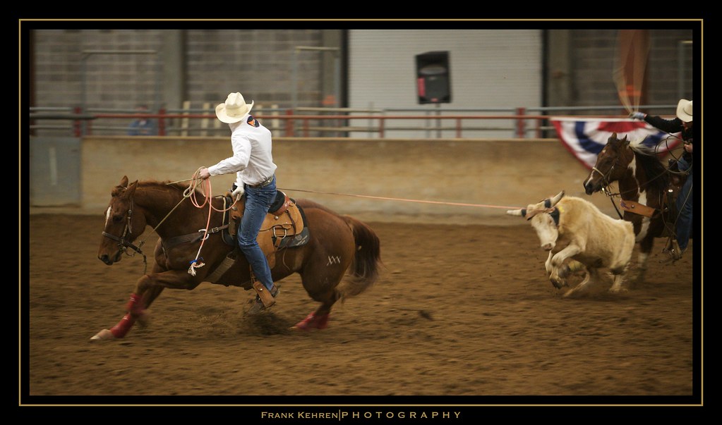 Team Roping Team Roping, Harriman Rodeo, Roane State Commu… Flickr