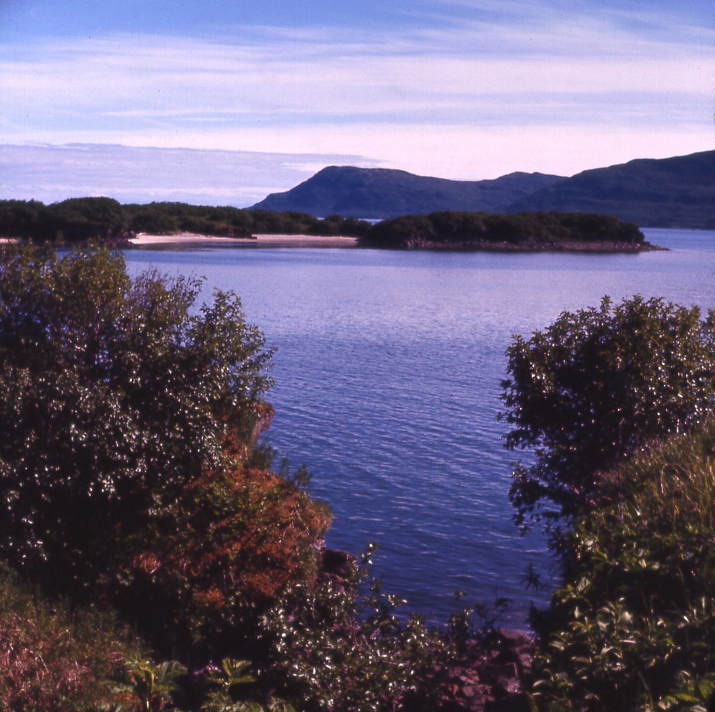 Kukak Bay, Alaska, 1964 Photo taken in the summer of 1964 Flickr