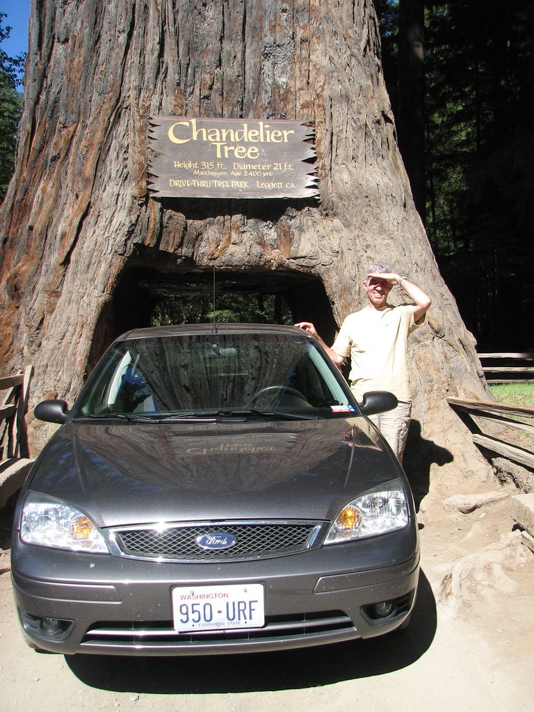 49ChandelierDriveThruTree,Leggett,CA John Baldini Flickr