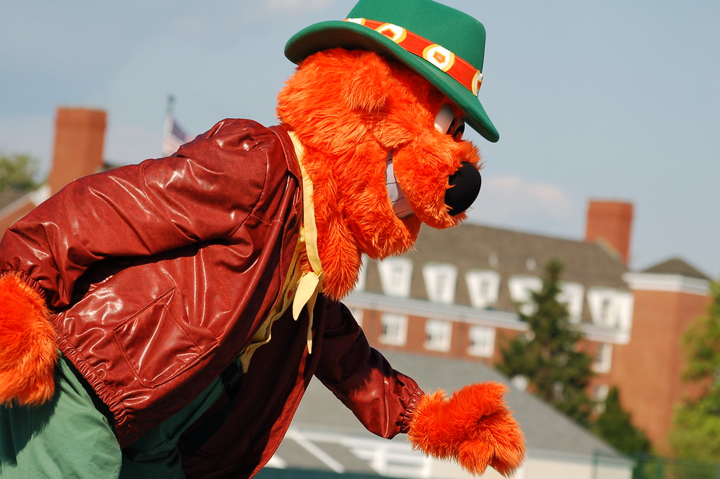 copperhead mascot dintywmoore Flickr