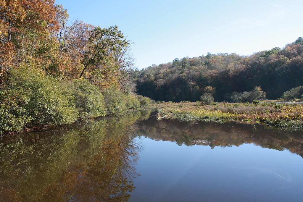 Bankhead National Forest Brushy Lake, early in the morning… Flickr