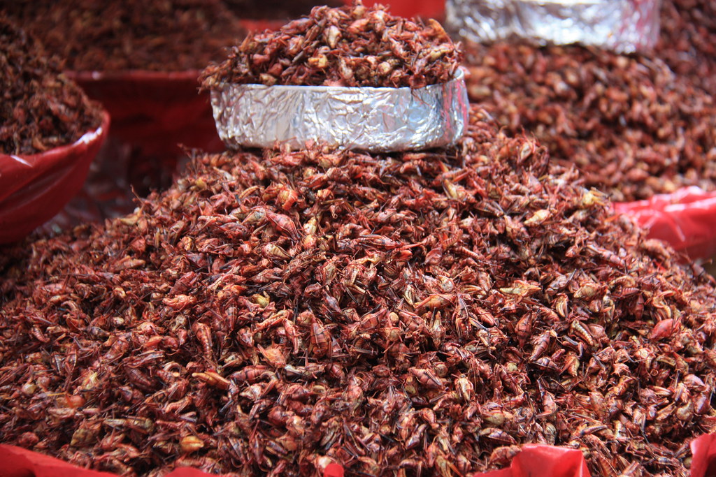 Fried Crickets...Oaxaca Christine Zenino Flickr