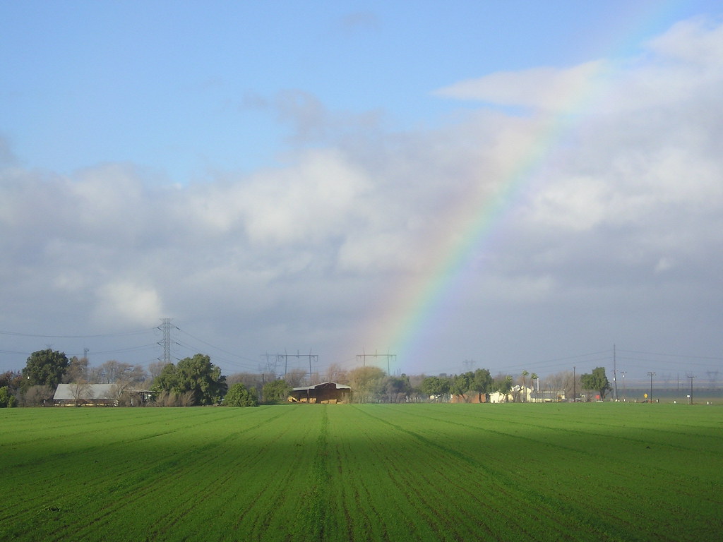 Rainbow Field rainbow across the feild in Byron next to my