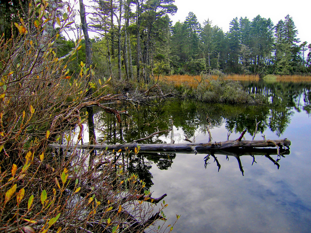 Winter_on_Garrison_LakeImg_1381LR The south end of Garri… Flickr