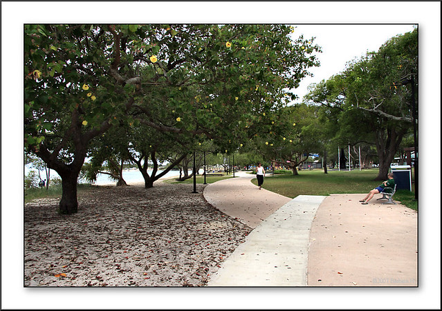 Cotton Tree Park Coton Tree Park, Maroochydore, Qld. Austr… Flickr