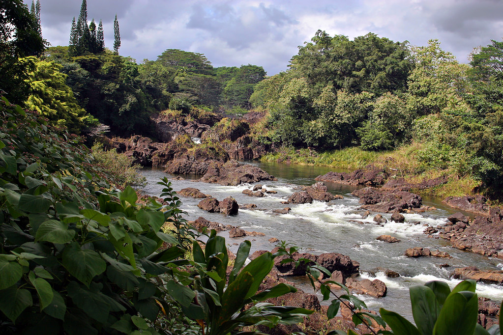 Elevation of North Kulani Road, N Kulani Rd, Mountain View, HI, USA
