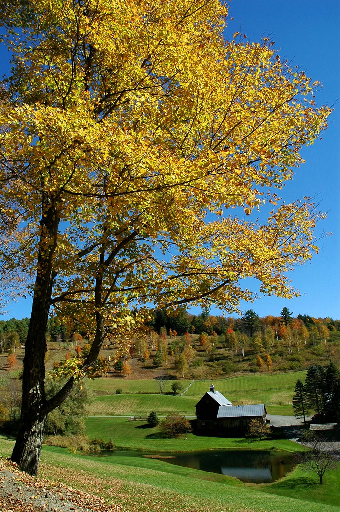 Pomfret, Vermont Fall in Vermont Bob Dennis Flickr