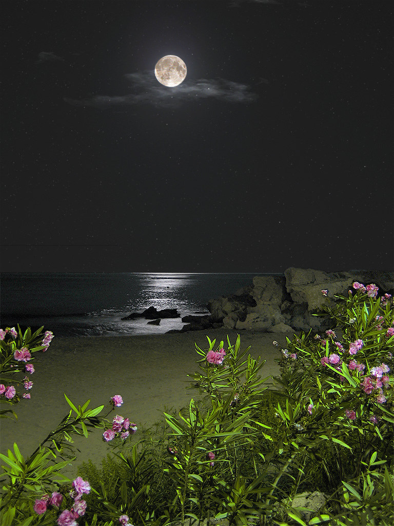 moonlight beach (1033img 03897s) The beach at night in … Flickr