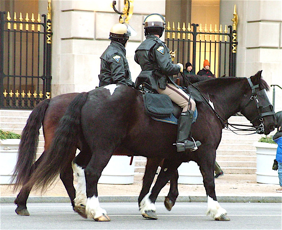 War Horses+Modern Knights This really big police horse rem… Flickr