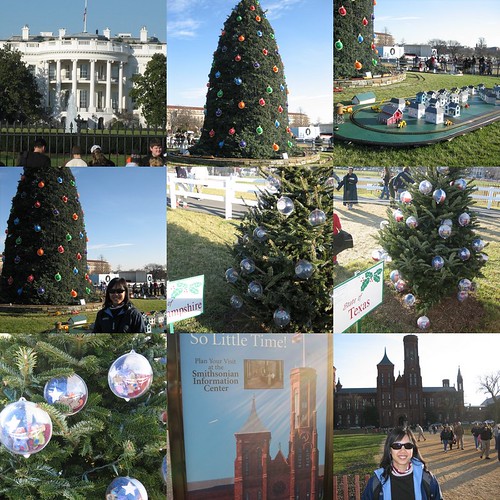 White House, National Xmas tree, DC sheyx Flickr