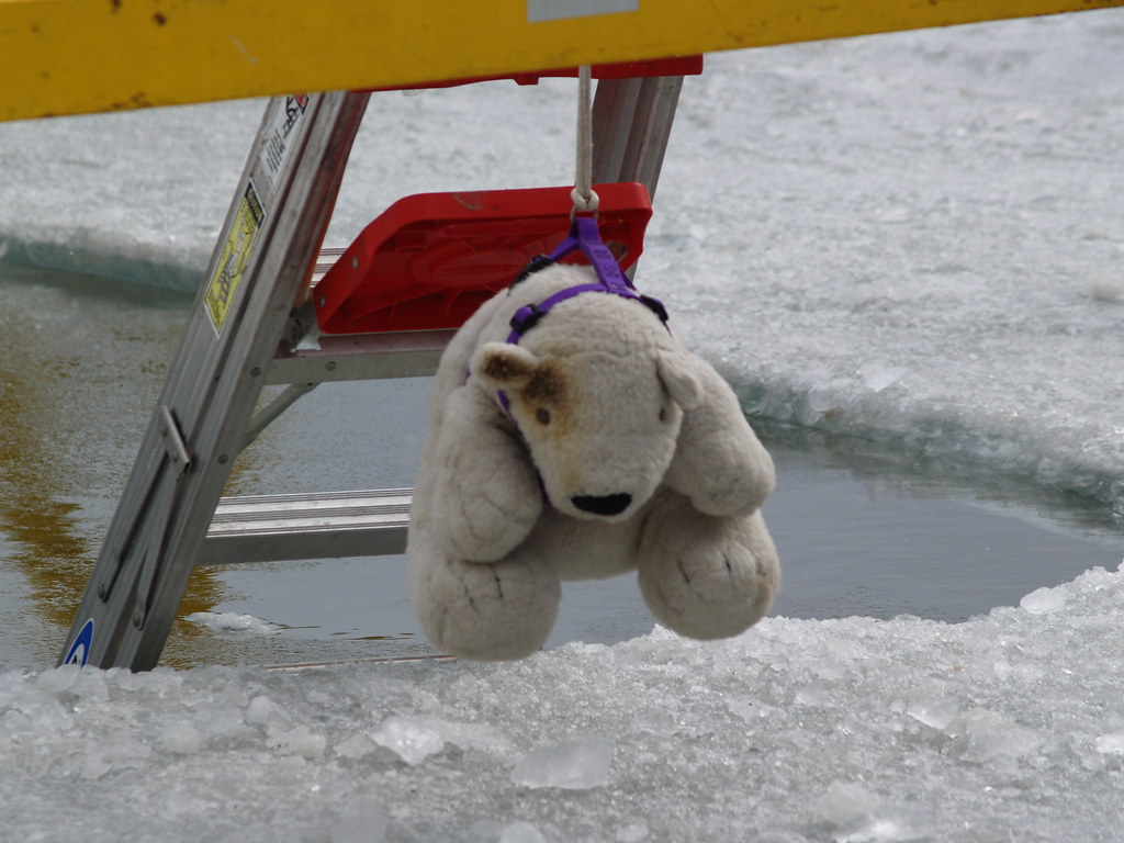 Polar Bear The mascot for the annual Empire Winterfest Pol… Flickr