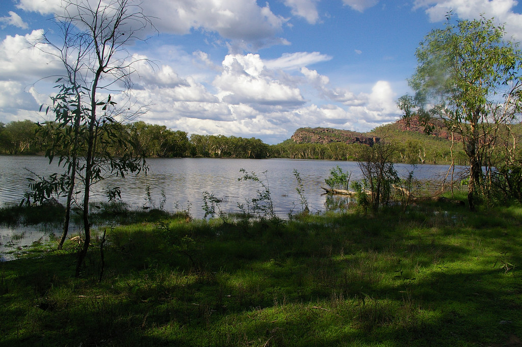 Croc Dundee Waterhole 1 Waterhole at Kakadu where a scene … Flickr