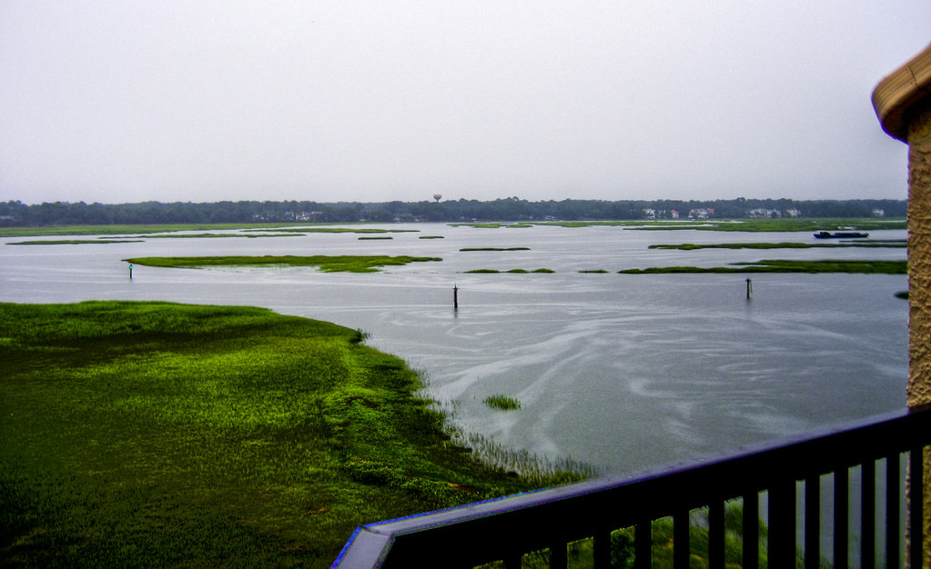 Salt Marsh Outside of our condo, right through Mom and Dad… Flickr
