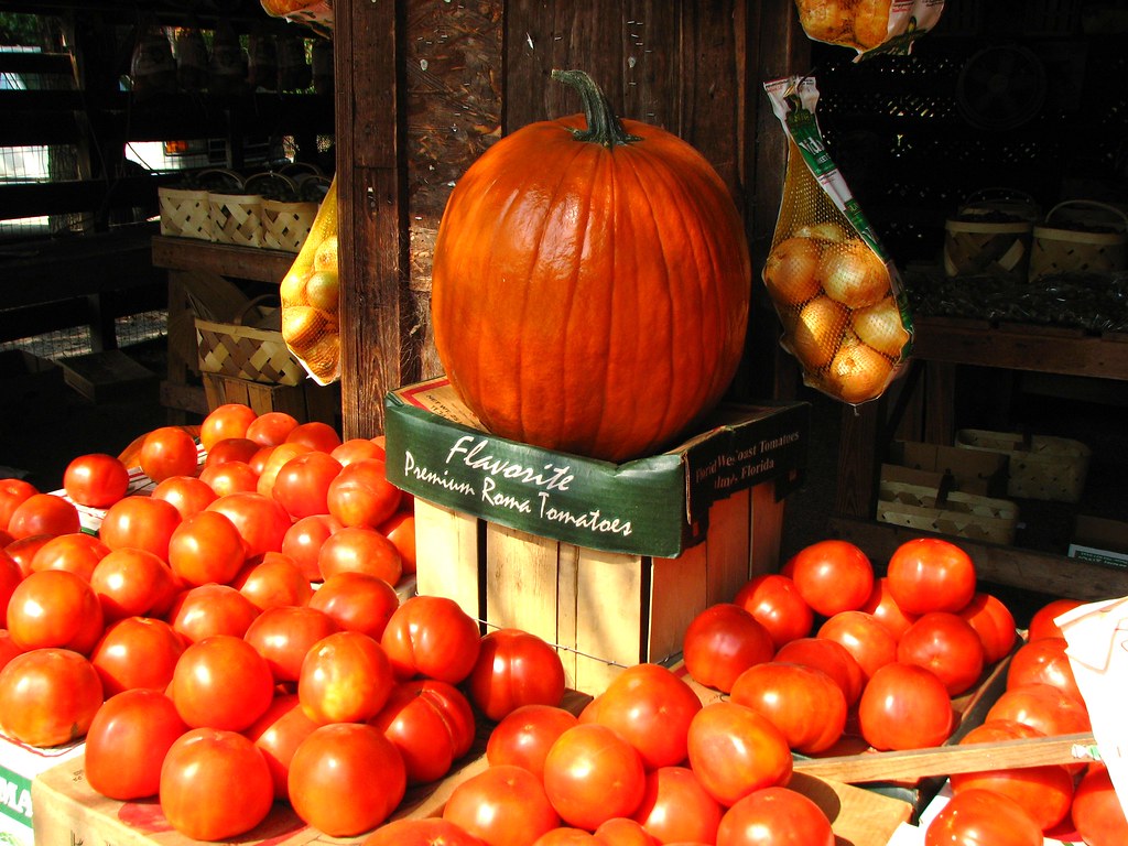 Pumpkins and Tomatoes klg1309 Flickr