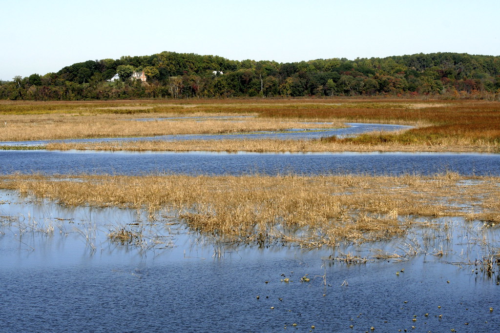 Jug Bay Maryland The following are from a shoot at Jug Bay… Flickr