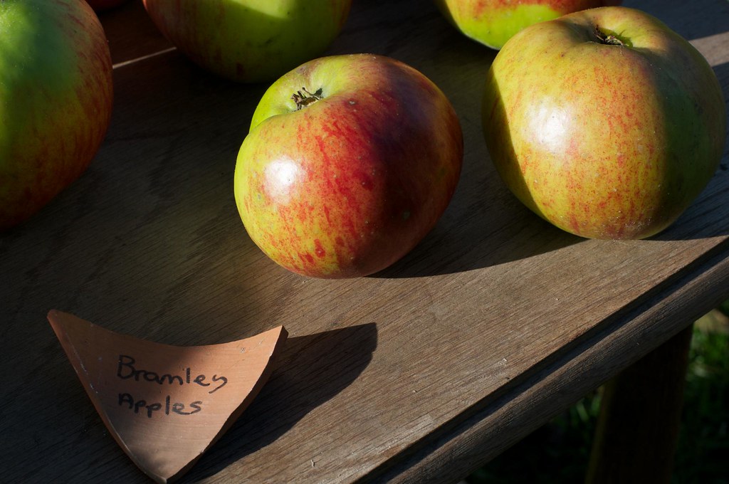 Chartwell Bramley apples Bramley apples grown in the orcha… Flickr