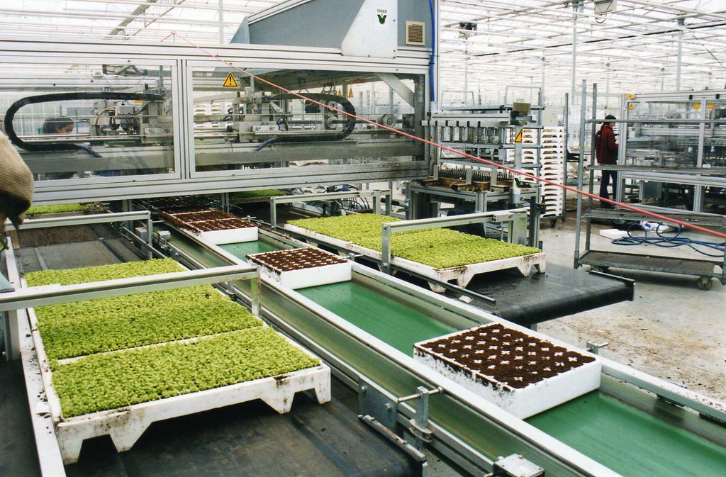 Roundstone Lagness Roundstone Nurseries, Lagness, West Sus… Flickr