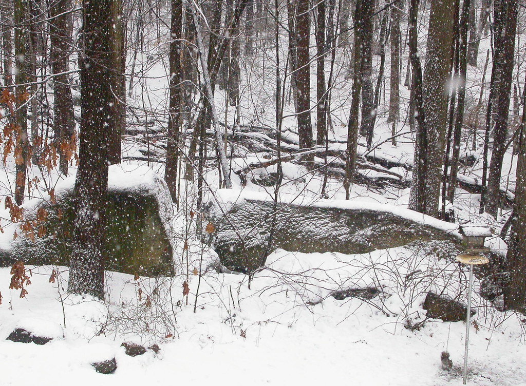 Snowfall Princeton woods 3 The view outside my brother's t… Flickr