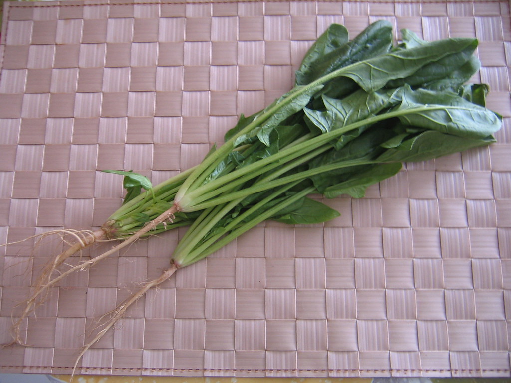 iron in spinach Spinach has a relatively high content of i… Flickr