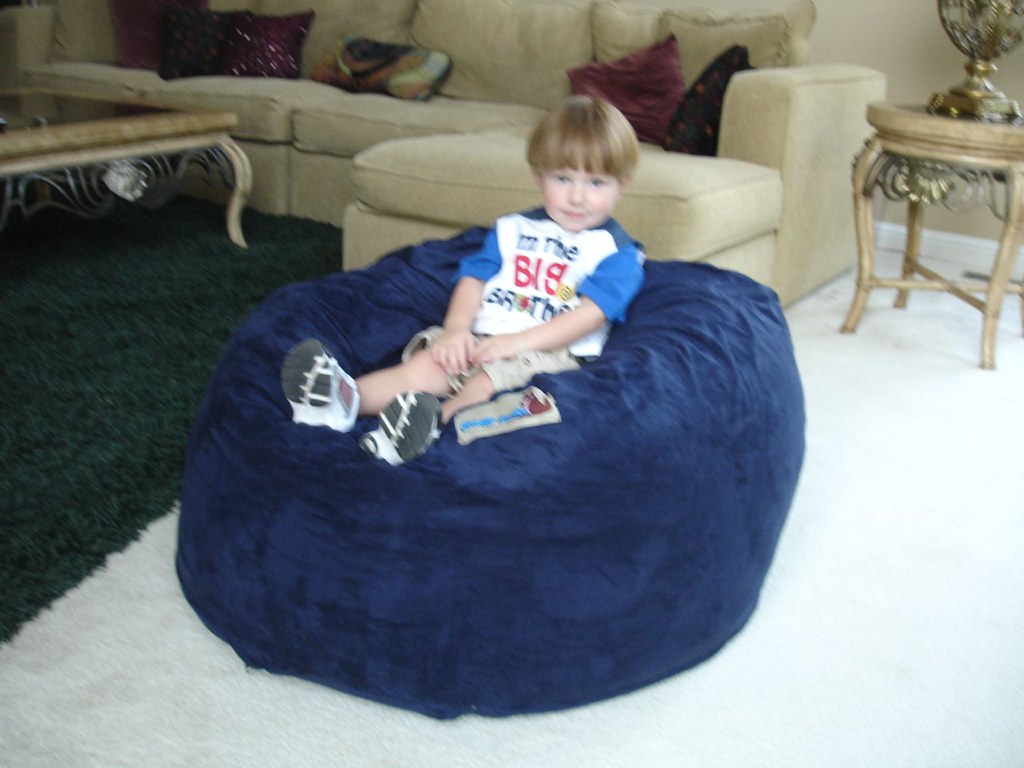 Huge Bean Bag Chair LoveSac Love Sac Comfy Sack Fombag Flickr