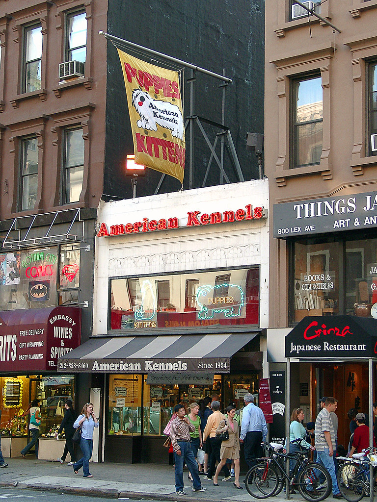 American Kennels — 798 Lexington Avenue [06150037 copy] Jim Lambert