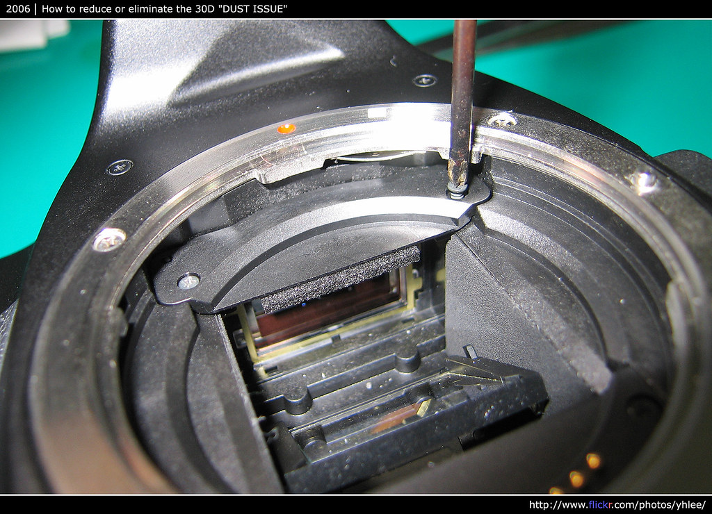 Eliminate the Canon EOS 30D's Viewfinder "DUST ISSUE" Flickr