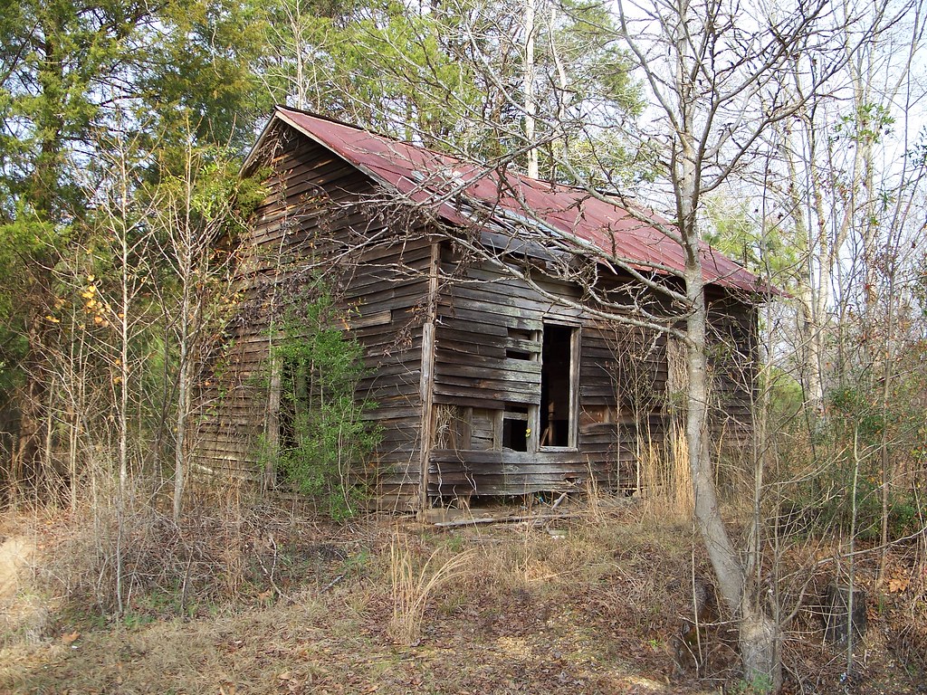 Cabin in the Woods Jefferson Davis County, Mississippi