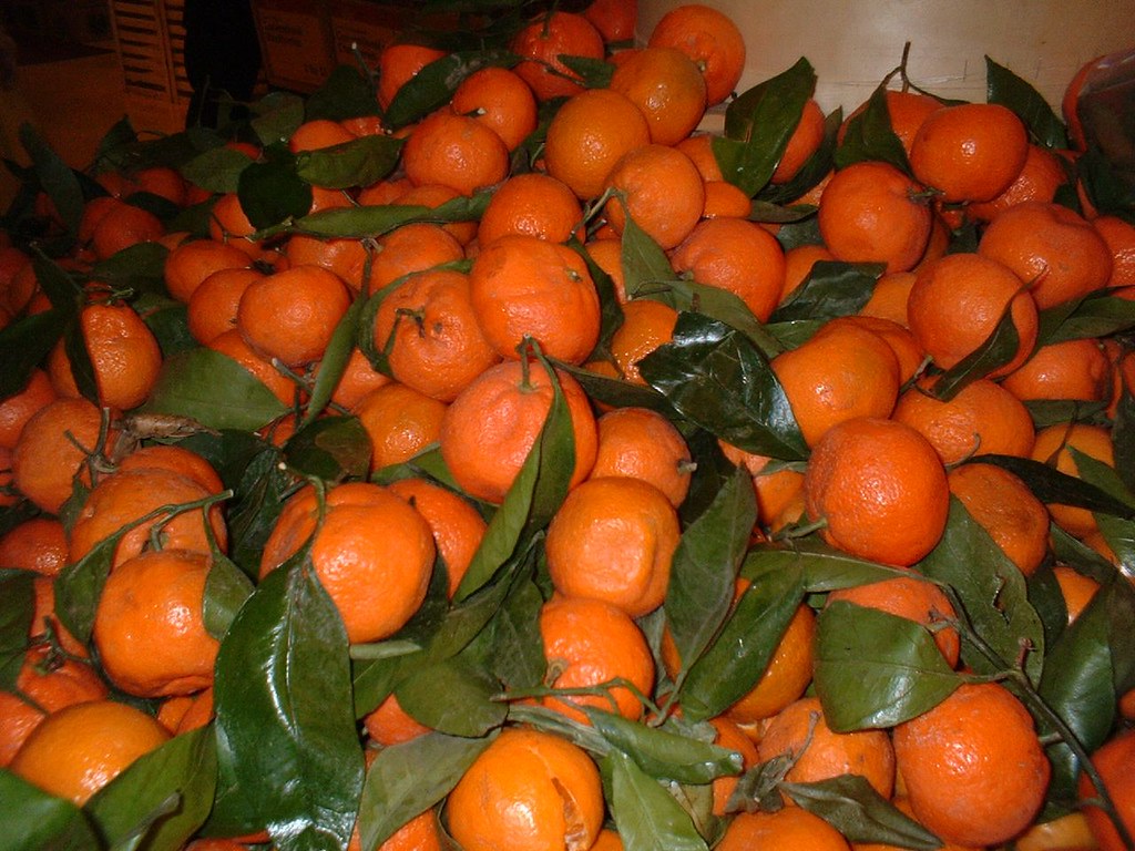 Tangerines Tangerines on sale at the San Francisco Whole F… Flickr