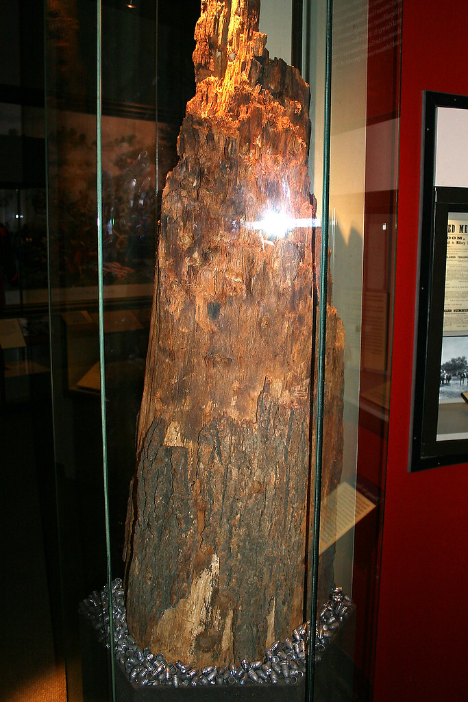 BulletRiddled Tree Stump From Civil War Spotsylvania batt… Flickr