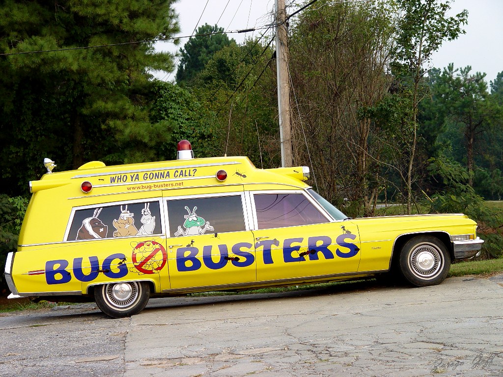 Bug Busters A business in the Atlanta Metro area. Picture … Flickr