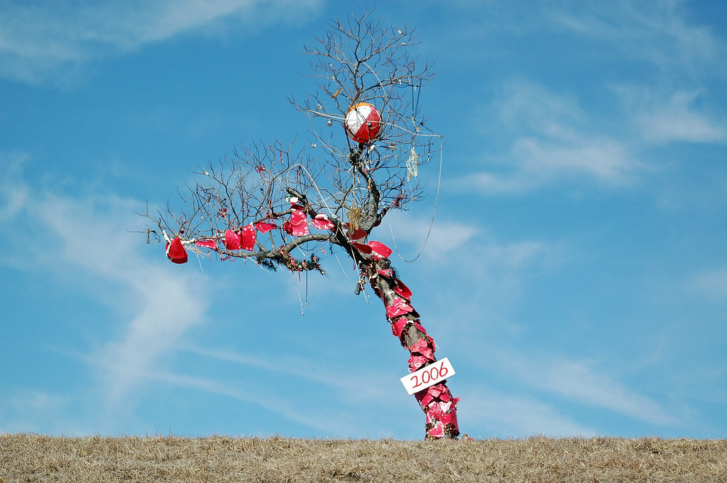 Homeless Christmas Tree The Homeless Christmas tree of I3… Flickr