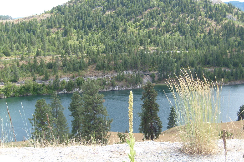 Kettle Falls, Lake Roosevelt Flickr