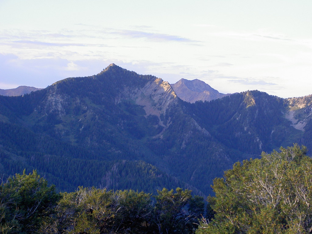 Mount Raymond summitcheese Flickr