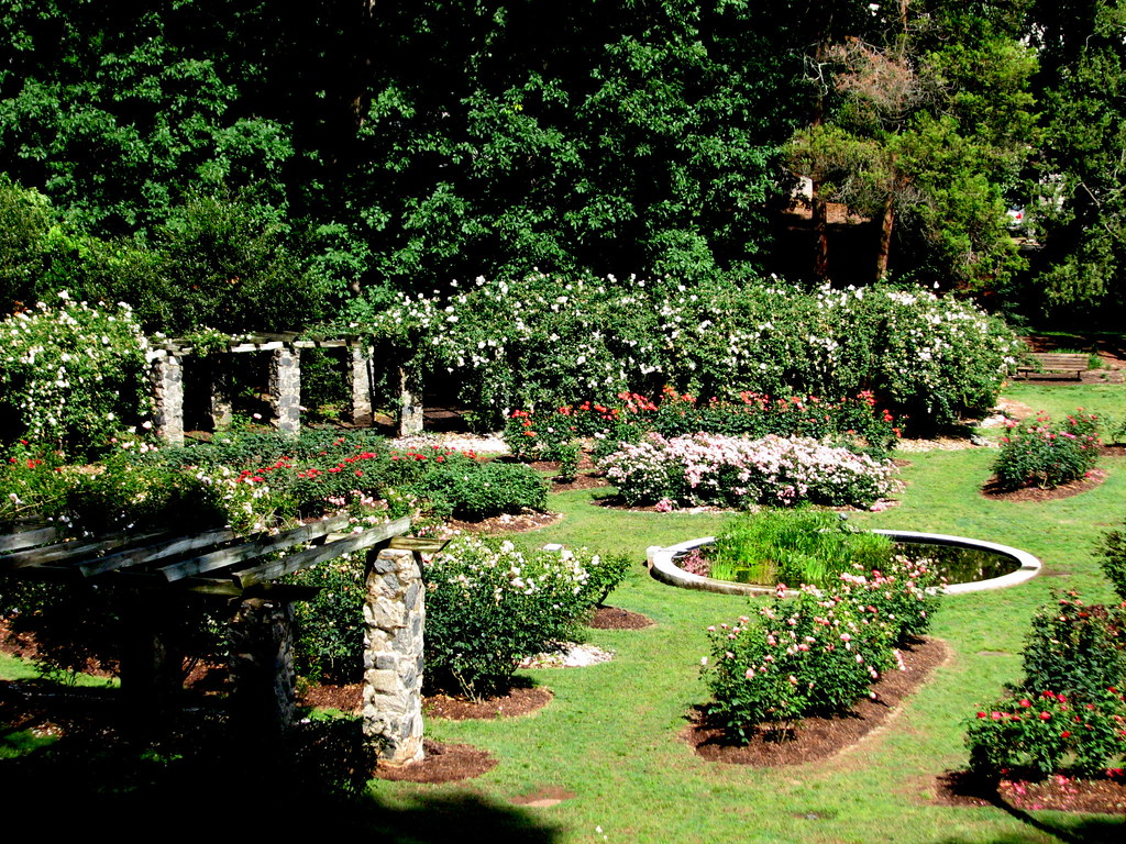 Rose Garden, Raleigh NC 6709 bobistraveling Flickr