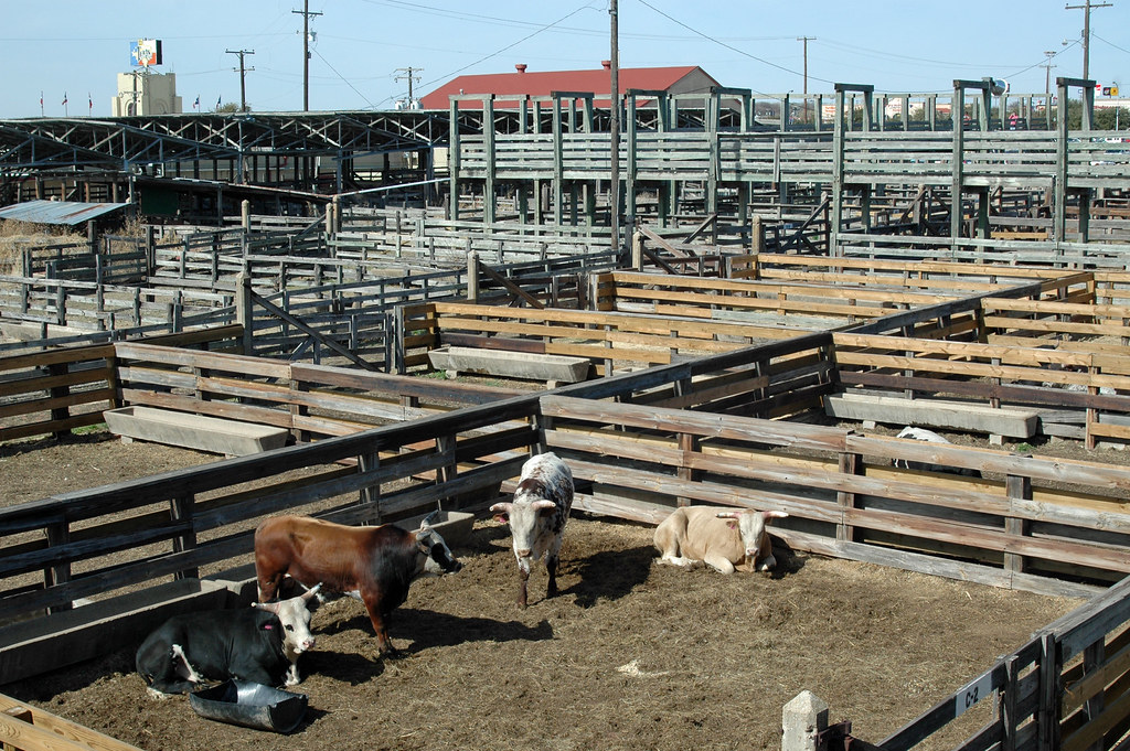 Cattle pens Cattle pens at the Fort Worth Stockyards stevesheriw