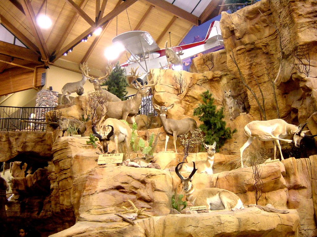 Animals at Cabela's At our new Cabela's store in Glendale,… Flickr