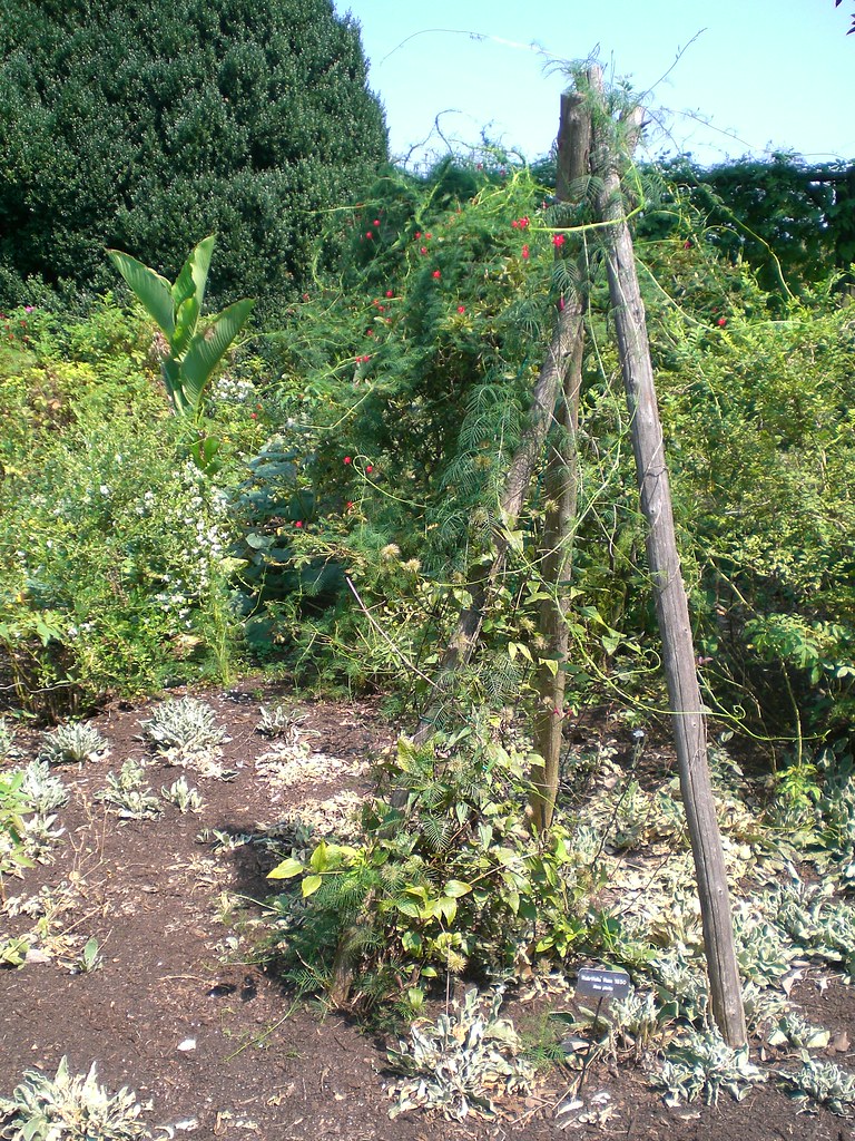 tufton farm Leslie Johnston Flickr