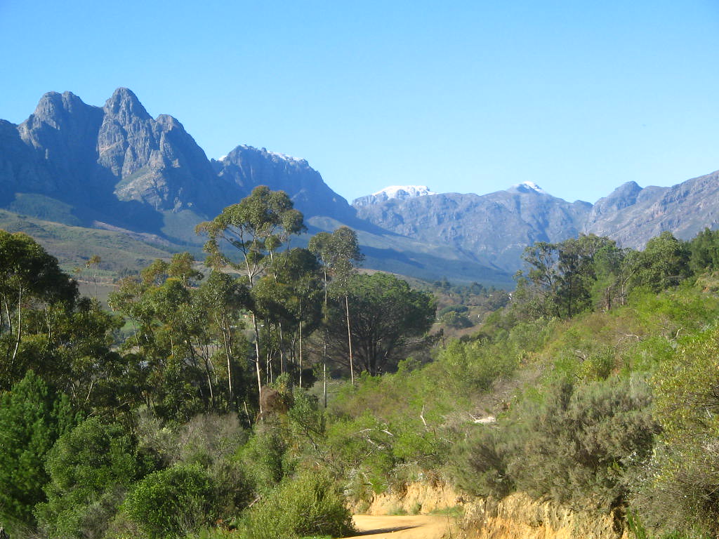 Winter Splendour 10 After the cold weather,we've got some … Peter