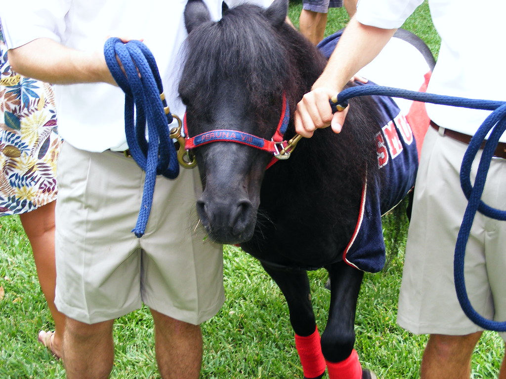 Decoding the Symbolism Exploring the Meaning of the Horse Emoji