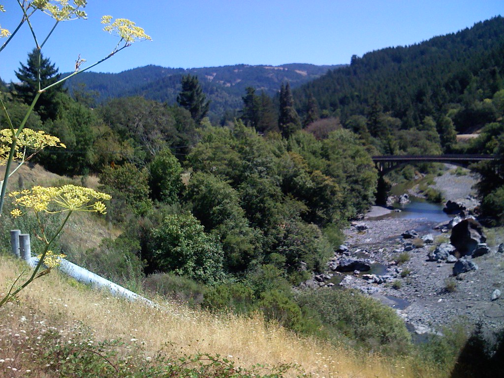 Bridgeville California Donny Pauling Flickr