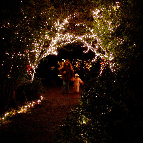 Bellevue Botanical Garden d'Lights aiddy Flickr